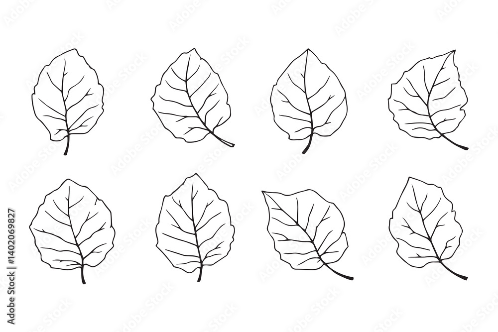 Obraz premium African Mahogany leaf line art illustration