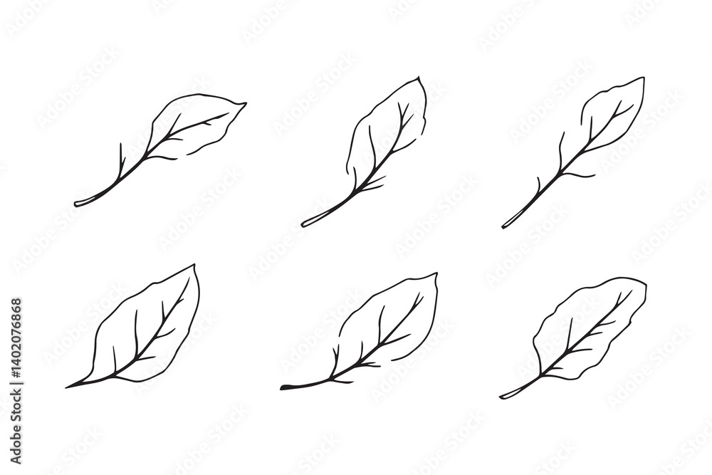 Apple leaf line art Apple leaf line art