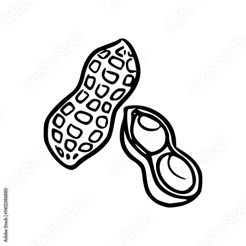 nut snack : peanuts vector graphic