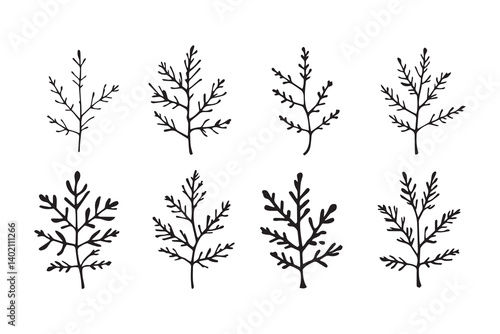 Set of 6 pec in two row  Black Alder_ line art on white background