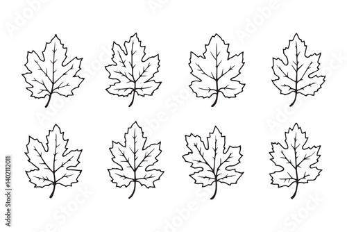 Set of 6 pec in two row  Black Alder_ line art on white background