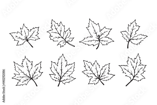 Set of 6 pec in two row  Black Alder_ line art on white background
