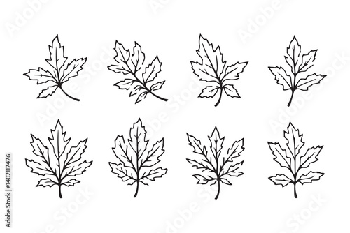 Set of 6 pec in two row  Black Alder_ line art on white background