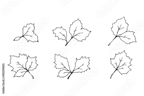 Set of 6 pec in two row  Blackcurrant Leaf line art on white background 