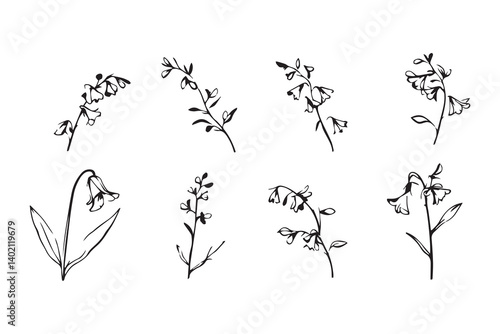 Set of 6 pec in two row  Bluebell black line art on white background