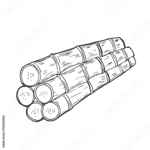 Pile of fresh raw sugar cane, sketch style vector illustration isolated on white background.