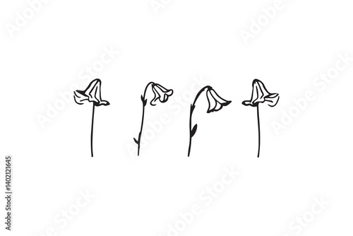 Set of 6 pec in two row  Bluebell black line art on white background