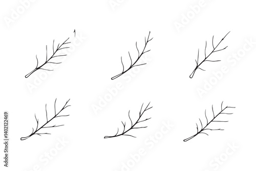 Set of 6 pec in two row  Blueberry Leaf line art on white background