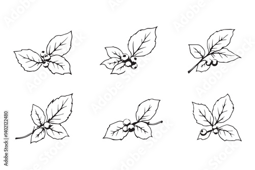 Set of 6 pec in two row  Blueberry Leaf line art on white background