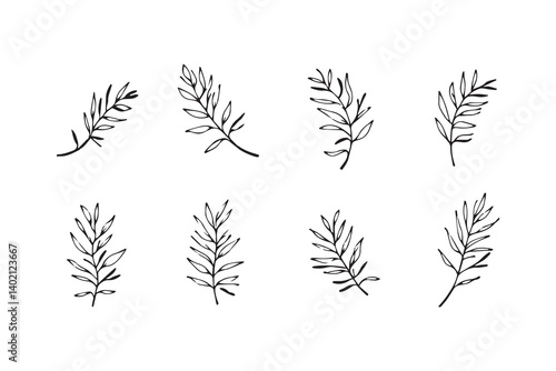 Set of 6 pec in two row  Bottlebrush  Leaf line art on white background