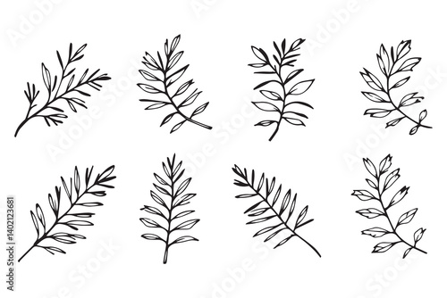 Set of 6 pec in two row  Bottlebrush  Leaf line art on white background