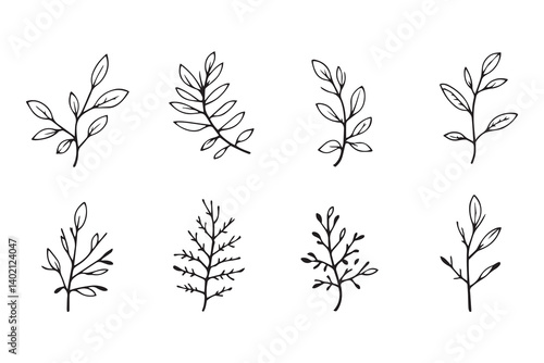 Set of 6 pec in two row  Bottlebrush  Leaf line art on white background