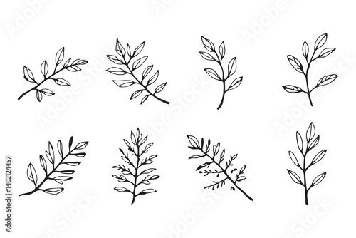 Set of 6 pec in two row  Bottlebrush  Leaf line art on white background