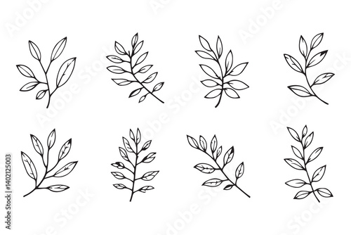 Set of 6 pec in two row  Bottlebrush  Leaf line art on white background 