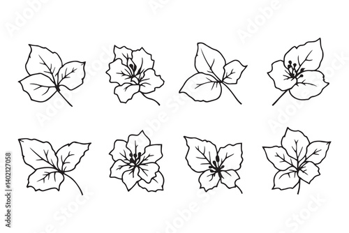 Set of 6 pec in two row  Bougainvillea Leaf line art on white background