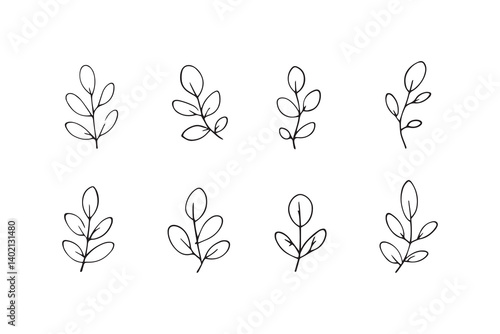 Set of 6 pec in two row  Acacia leaf line art on white background