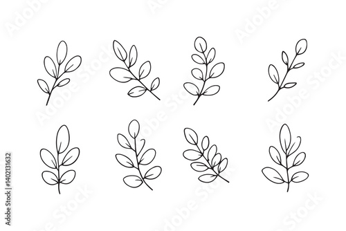 Set of 6 pec in two row  Acacia leaf line art on white background