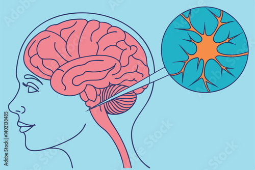73 Medical illustration, human brain anatomy, neuron synapse close-up, cross-section view, educational diagram, vibrant colors, pink brain tissue, blue background, orange neurotransmitters, scientific