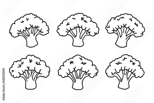Set of 6 pec in two row  Broccoli Leaf line art on white background 