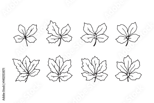 Set of 6 pec in two row  Bryophyllum Leaf line art on white background