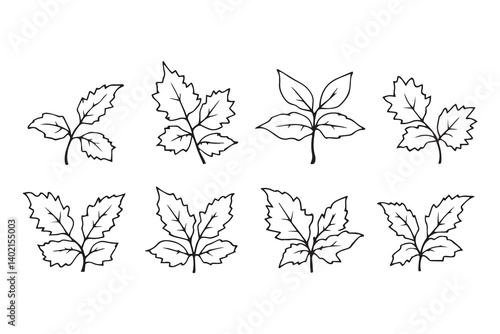 Set of 6 pec in two row  Bryophyllum Leaf line art on white background 