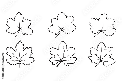 Set of 6 pec in two row  Burdock Leaf line art on white background