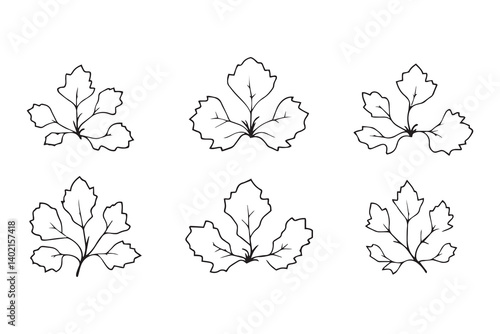 Set of 6 pec in two row  Burdock Leaf line art on white background