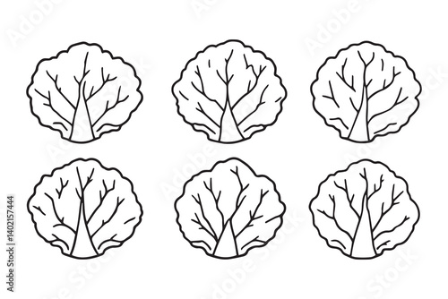 Set of 6 pec in two row  Cabbage  Leaf line art on white background