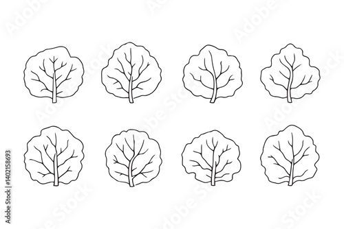 Set of 6 pec in two row  Cabbage  Leaf line art on white background