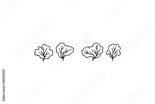 Set of 6 pec in two row  Cabbage  Leaf line art on white background