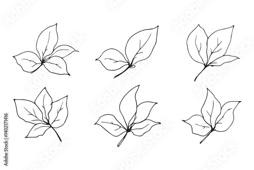 Set of 6 pec in two row  Camellia Leaf line art on white background