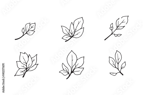 Set of 6 pec in two row  Camphor Leaf line art on white background