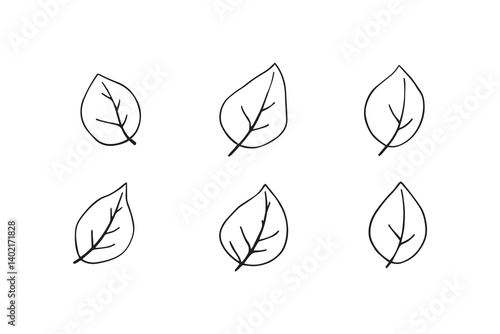 Set of 6 pec in two row  Camphor Leaf line art on white background