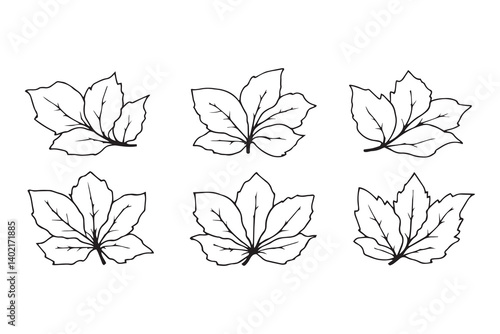 Set of 6 pec in two row  Camphor Leaf line art on white background