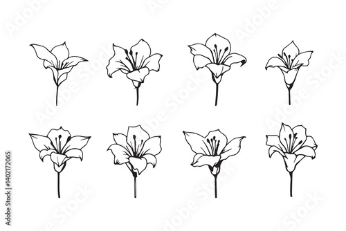Set of 6 pec in two row  Canna Lily line art on white background