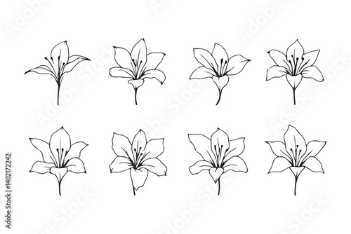 Set of 6 pec in two row  Canna Lily line art on white background