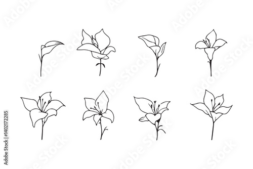Set of 6 pec in two row  Canna Lily line art on white background