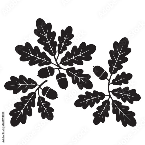 Oak branches with acorns, Vector Black silhouettes. with white background