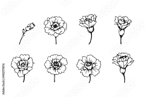 Set of 6 pec in two row  Carnation black line art on white background