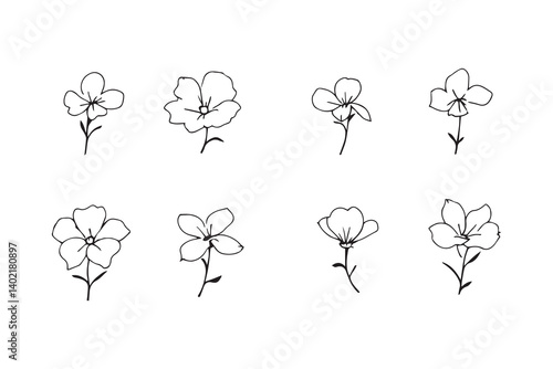 Set of 6 pec in two row  Carpathian Bellflower line art on white background