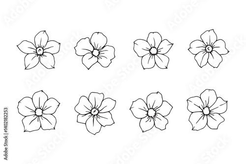 Set of 6 pec in two row  Carpathian Bellflower line art on white background