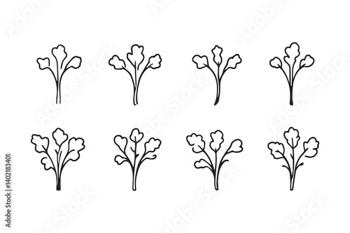 Set of 6 pec in two row  Carrot Leaf line art on white background