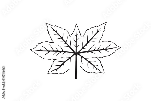 Set of 6 pec in two row  Cassava  Leaf line art on white background