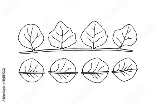 Set of 6 pec in two row  Cassava  Leaf line art on white background