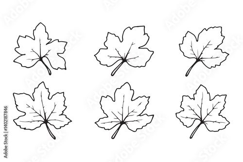 Set of 6 pec in two row  Cassava  Leaf line art on white background