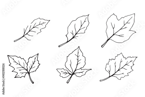 Set of 6 pec in two row  Cassava  Leaf line art on white background