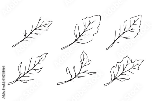 Set of 6 pec in two row  Cassava  Leaf line art on white background