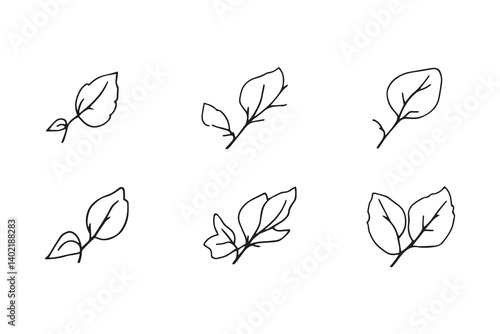 Set of 6 pec in two row  Cast Iron Plant line art on white background