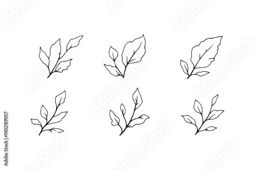 Set of 6 pec in two row  Cassava  Leaf line art on white background
