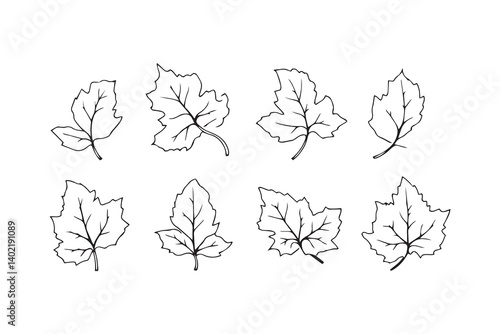 Set of 6 pec in two row  Castor Leaf line art on white background